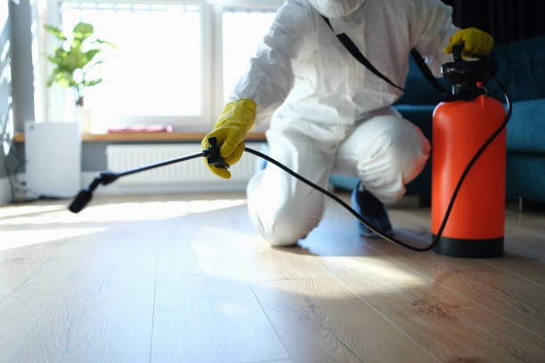 Reliable Odor Removal contractor in Mukilteo, WA by Trauma Clean Pros